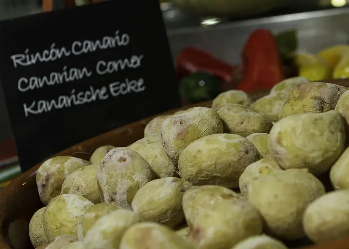 Checkin Concordia Playa Hotel