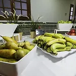 Checkin Concordia Playa 푸에르토 드 라 크루즈