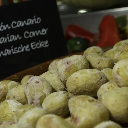 Checkin Concordia Playa فندق