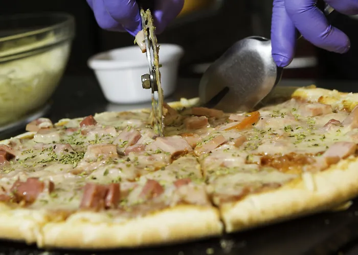 Checkin Concordia Playa 4*