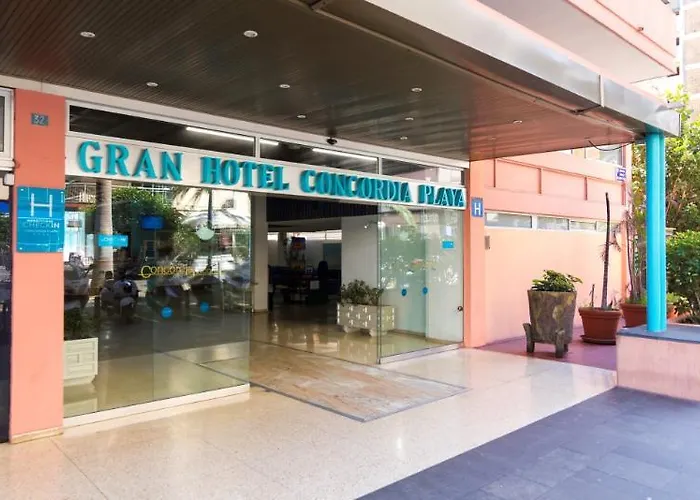 入住康科迪亚普拉亚酒店 4*