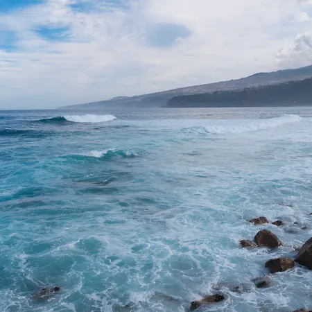 Checkin Concordia Playa