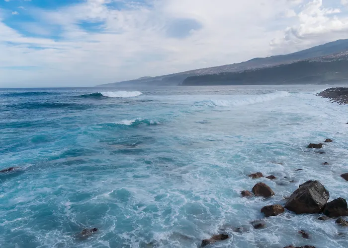Checkin Concordia Playa